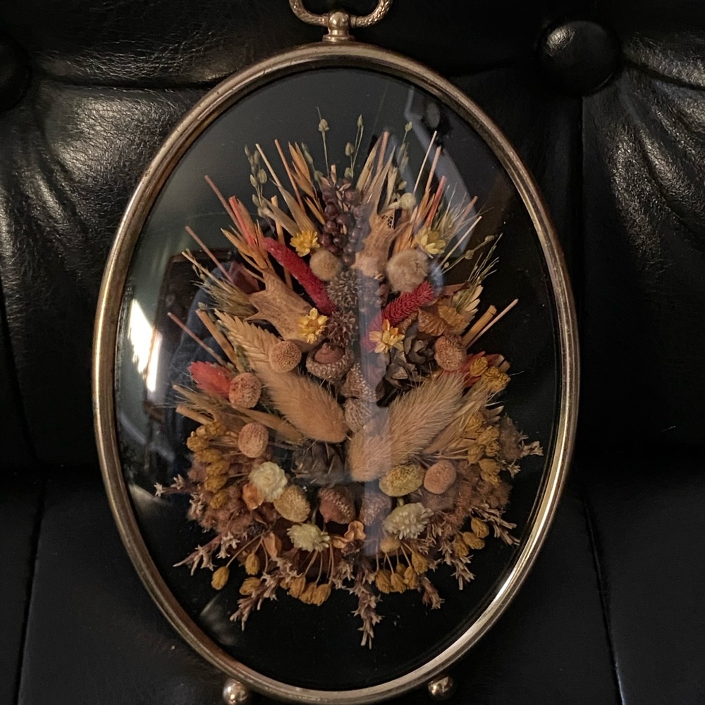 Vintage dried flower/foliage wall art